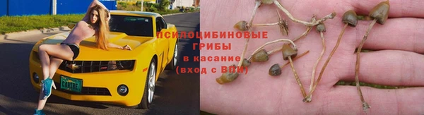 амф Волоколамск